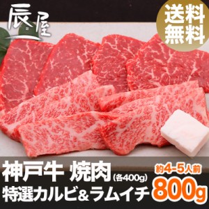 神戸牛 焼肉 セット 特選 カルビ ＆ ラムイチ 800g（約4-5人前） 送料無料  冷蔵