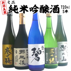 日本酒 飲み比べセット 720ml×5本 新潟五蔵 純米吟醸酒（越乃碧、郷越後、三つ柏、寒中梅、朝日山）