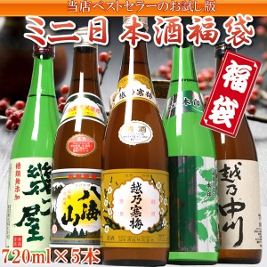 ミニ日本酒福袋（鳳） 720ml×5本飲み比べ 当店のベストセラー日本酒福袋のお試し版 有名日本酒