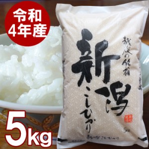 新潟産 コシヒカリ 5kg 送料無料 新潟県産 5キロ お米 令和4年 新米 精米 白米 こしひかり