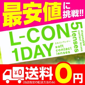 エルコンワンデー 5枚入 1箱 コンタクトレンズ 1day 1日使い捨て ワンデー 激安 即日発送 ネット 通販