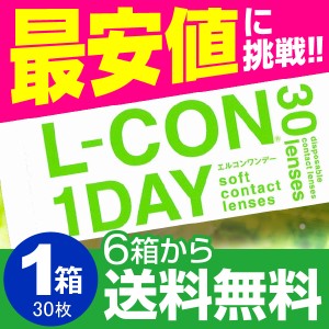 エルコンワンデー 30枚入 1箱 コンタクトレンズ 1day 1日使い捨て ワンデー 激安 即日発送 ネット 通販