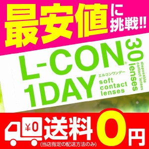 エルコンワンデー 6箱 30枚入 6箱 コンタクトレンズ 1day 1日使い捨て ワンデー 激安 即日発送 ネット 通販