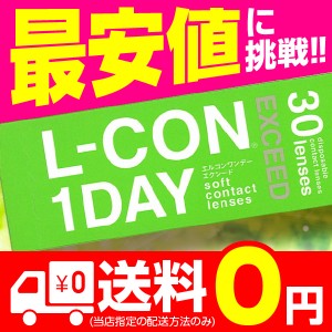 エルコンワンデーエクシード　エルコンワンデーEXCEED 30枚入 6箱 コンタクトレンズ 1day 1日使い捨て ワンデー 激安 ソフトコンタクトレ