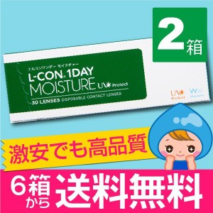 エルコンワンデーモイスチャー 30枚入 2箱 コンタクトレンズ 1day 1日使い捨て ワンデー 激安 翌日当店発送 ネット 通販