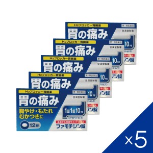 【第1類医薬品】『ファモチジン錠　クニヒロ 12錠　5個セット』【薬剤師対応】【税制対象商品】