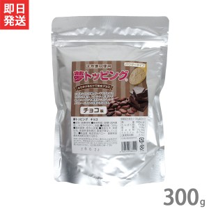 ハニー 夢トッピング チョコ 300g