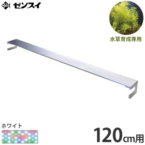 ゼンスイ 超薄型 LEDランプ 120cm水槽用 ホワイト nano LeviL 1200 (水草用)