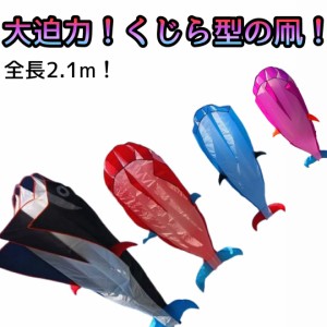 凧 くじら 鯨 骨なし 組み立て不要 カイト 可愛い 魚 凧揚げ 公園遊び おもちゃ 子供 大人 アウトドア ピクニック レジャー カラフル