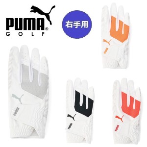 プーマ ゴルフ グローブ PWR グリップ グローブ 右手用 メンズ PUMA Golf 041880 【メール便配送】