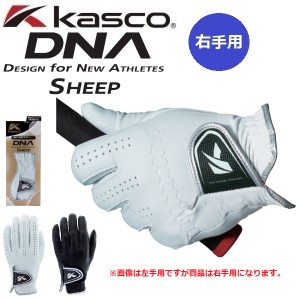 右手用 キャスコ ゴルフグローブ DNA SHEEP シープ メンズ レフティ 羊革 手袋 GF-2012R 【メール便配送】