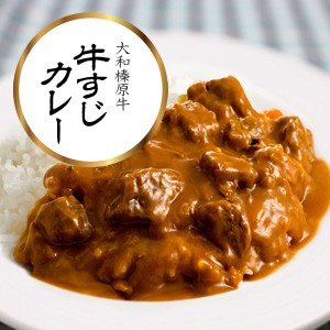 大和榛原牛の牛すじカレー 220g×6パック入り 送料無料 冷凍便