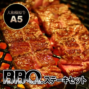 牛肉 黒毛和牛 A5 大和榛原牛 BBQ ステーキセット 600g （イチボステーキ：150g×2枚・サーロインステーキ：300g） 送料無料 冷凍便