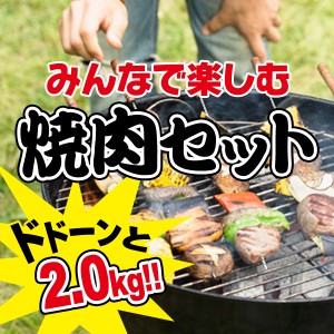 みんなで楽しむ焼肉セット2.0kg （大和榛原牛カルビ・たれ漬け 各200g、豚バラ・豚トロ・鶏モモ肉 各400g、ウインナー10本、たれ2本） 送