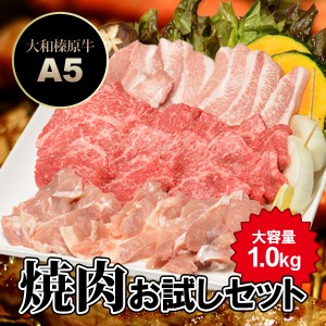 焼肉お試しセット 1.0kg 大和榛原牛カルビ 300g＋銘柄鶏 200g＋豚トロ 300g＋粗挽きウィンナーソーセージ 5本 送料無料 冷凍便