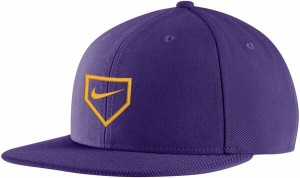 ナイキ レディース 帽子 アクセサリー Nike Adult Pro Flatbill Cap Purple