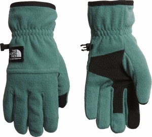 ノースフェイス メンズ 手袋 アクセサリー The North Face Etip Heavyweight Fleece Glove DARK SAGE