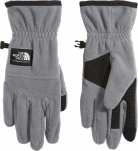 ノースフェイス メンズ 手袋 アクセサリー The North Face Etip Heavyweight Fleece Glove Meld Grey