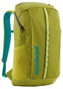 パタゴニア メンズ バックパック・リュックサック バッグ Patagonia 25L Black Hole Pack Phosphorus Green