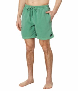 クイックシルバー メンズ ハーフパンツ・ショーツ ボトムス 17" Everyday Surfwash Volley Shorts Frosty Spruce