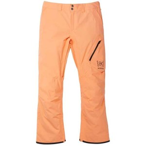 バートン メンズ カジュアルパンツ ボトムス Burton AK 2L GORE-TEX Cyclic Pants Salmon Buff