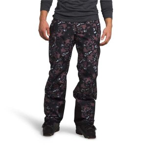 ノースフェイス メンズ カジュアルパンツ ボトムス The North Face Freedom Pants Fawn Grey Snake Charmer Print