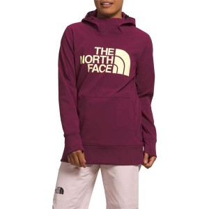 ノースフェイス レディース パーカー・スウェット アウター The North Face Tekno Pullover Hoodie - Women's Boysenberry