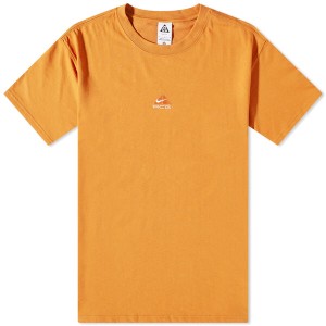 ナイキ メンズ Tシャツ トップス Nike ACG OG Logo Tee Monarch