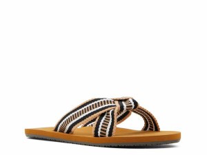 ビラボン レディース サンダル シューズ Seashell Sandal Multicolor