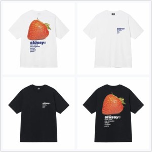 (ステューシー) STUSSY STRAWBERRY TEE 1904769 メンズ 半袖 Tシャツ ストック ロゴ stussy トップス コットンメンズ [並行輸入品]