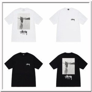 (ステューシー) STUSSY　Low Tide 1904822　TEE Tシャツ　半袖 並行輸入品