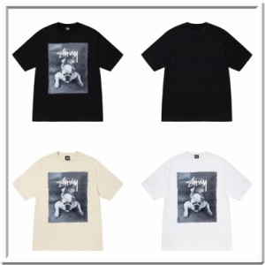 (ステューシー) STUSSY Bulldog TEE 1904844 半袖 並行輸入品