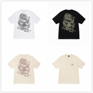 (ステューシー) STUSSY DRAGON TEE 1904847 メンズ 半袖 Tシャツ ストック ロゴ stussy トップス コットンメンズ [並行輸入品]