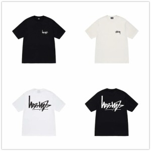 (ステューシー) STUSSY FLIPPED T-SHIRT 1904895メンズ 半袖 Tシャツ ストック ロゴ stussy トップス コットンメンズ [並行輸入品]