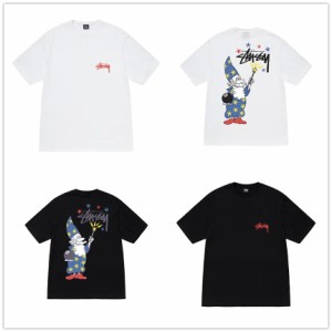 (ステューシー) STUSSY WIZARD TEE 1904925 メンズ 半袖 Tシャツ ストック ロゴ stussy トップス コットンメンズ [並行輸入品]