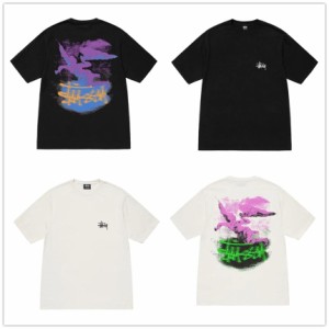 (ステューシー) STUSSY FALLEN ANGEL PIGMENT DYED TEE 1904957 メンズ 半袖 Tシャツ ストック ロゴ stussy トップス コットンメンズ [並