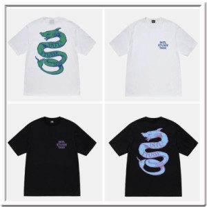 (ステューシー) STUSSY SERPENT TEE 1904990 Tシャツ 半袖 並行輸入品