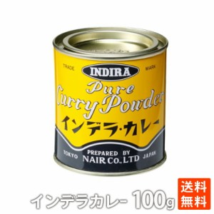 インデラ カレー スタンダード ナイル商会 カレーライス スパイス 100g カレーパウダー 送料無料