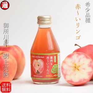 りんごジュース 青森 赤〜いりんご 御所川原 送料無料 180ml×6本 ポリフェノール りんごジュース 100% 青森りんごジュース ストレート 