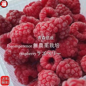 ラズベリー 冷凍 バラ 送料無料 1kgパック 栽培期間中農薬不使用 無添加・無着色 国産 木苺 キイチゴ