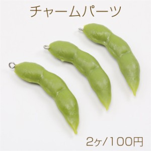 チャームパーツ プラスチック製 食べ物チャーム 野菜チャーム キーホルダーパーツ 食品サンプル カン付き 1.5×6cm（2ヶ）