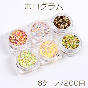 ホログラム ネイルパーツ 6色セット 各約2ｇ（6ケース）