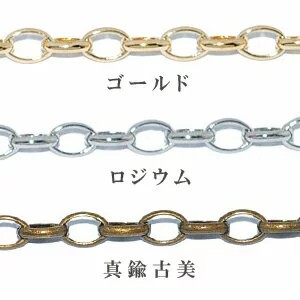 ロングオーバル ベルサーチェーン 