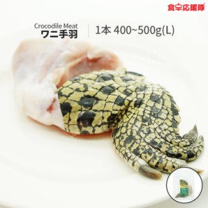 オーストラリア産 ワニ肉 Lサイズ 1本 400~500g クロコダイルミート ワニ手羽