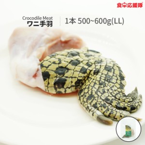 オーストラリア産 ワニ肉 LLサイズ 1本 500~600g クロコダイルミート ワニ手羽