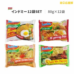 インドミー  4種×3袋セット 計12袋  ミーゴレン ミーゴレンプダス ソトミ— スペシャルチキン インスタントラーメン 即席めん indomie 