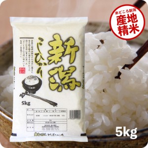 米 5kg 新潟産コシヒカリ 令和5年産 お米 産直 精米 白米 5kgx1袋 送料無料 産直 精米 白米 ※沖縄へは別途送料