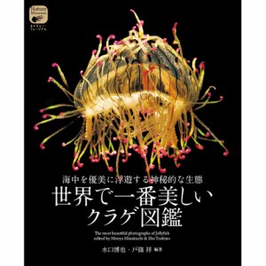 [ メール便可 ] 世界で一番美しいクラゲ図鑑 誠文堂新光社 【 知育 プレゼント 海月 くらげ 子供 こども 小学生 幼稚園 保育園 入学 入園