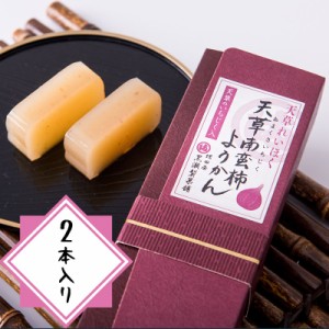 【 無花果 ( いちじく ) のようかん 2本入り 】 黒瀬製菓舗 南蛮柿 天草謹製認定品 熊本名物 お菓子 スイーツ お茶菓子