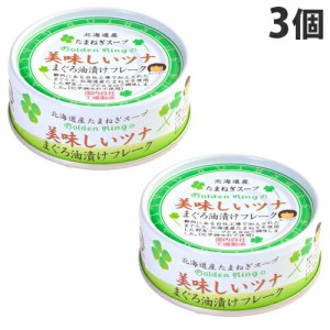 伊藤食品 美味しいツナ 油漬け 70g×3個